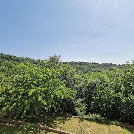 Appartement 2 Ou 4 Personnes. Venaco Venaco  Exteriér fotografie